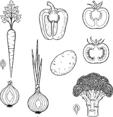 Vector Illustration Of Common Vegetables In Black And White Outline Style Perfect For Healthy Eating And Educational Graphic Design © Arun