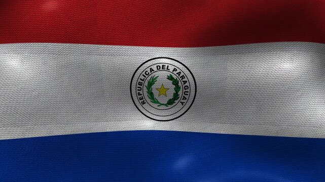 Paraguay Paraguayan Flag Textured Background Waving