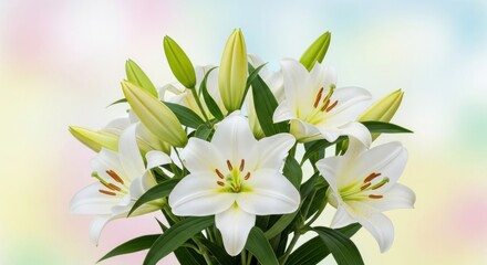 Fototapeta premium A bouquet of white lilies with green leaves against a colorful, blurred background.