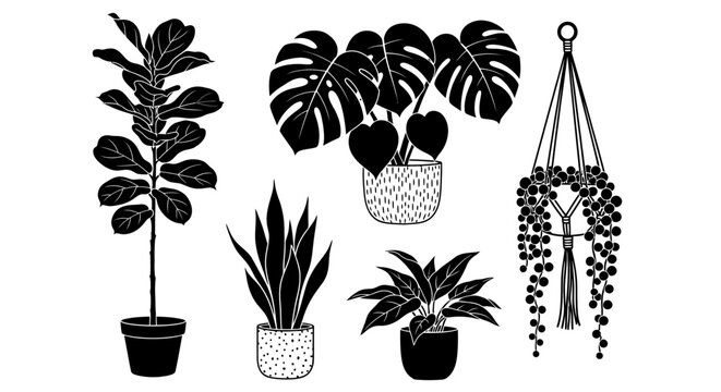 Collection of stylish indoor potted plants in black silhouette vector illustration, featuring trendy houseplants like Monstera and Fiddle Leaf Fig.