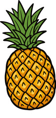 Retro Primitive Pineapple Tropical Fruit Illustration © Nocturnal