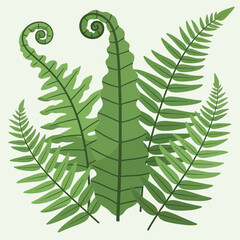 Green Fern Leaves Close Up Detail. © Nasati