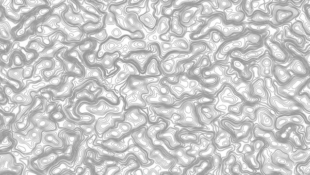 Topographic Background. Abstract wavy and curved lines background. Abstract pattern with Lines. Background of the Topographic Map. Abstract geometric topographic contour map background. Vector