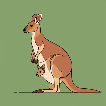 Mother kangaroo with joey in pouch.