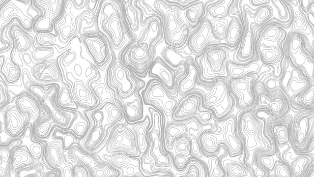 Topographic map lines background. Abstract vector illustration.