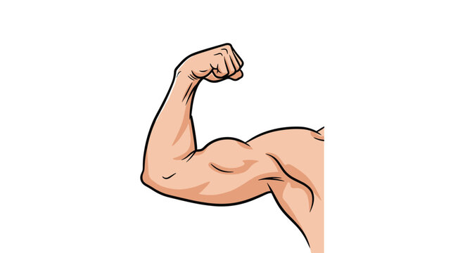 Cartoon style illustration of a strong flexed bicep muscle showing physical power, fitness, and body strength.