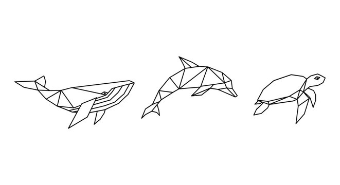 geometric whale dolphin and turtle in line art style vector illustration