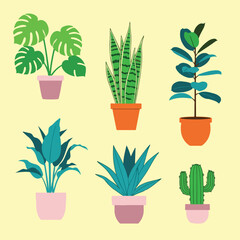 Variety of Potted Houseplants on Display. © Rilias