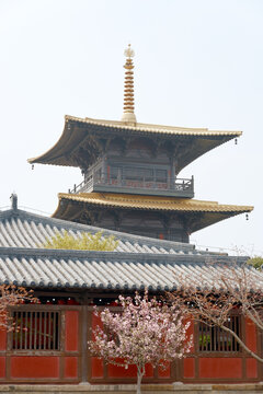 A traditional pagoda-style temple with golden tiered roofs framed by blooming pink blossoms and bare branches, evoking calm, heritage, and springtime tranquility in an architectural garden scene.