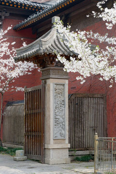 Traditional Chinese temple gate with ornate stone carving and wooden doors framed by blooming cherry blossoms, evoking serenity, history, and springtime in an architectural and cultural setting.