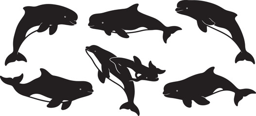 Black Solid Beluga Whale Group Silhouettes Set of Six on White Background © Shakeel