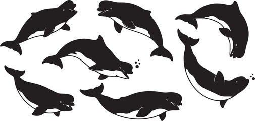 Obraz premium Black Solid Beluga Whale Play Silhouettes Set of Six on White Background