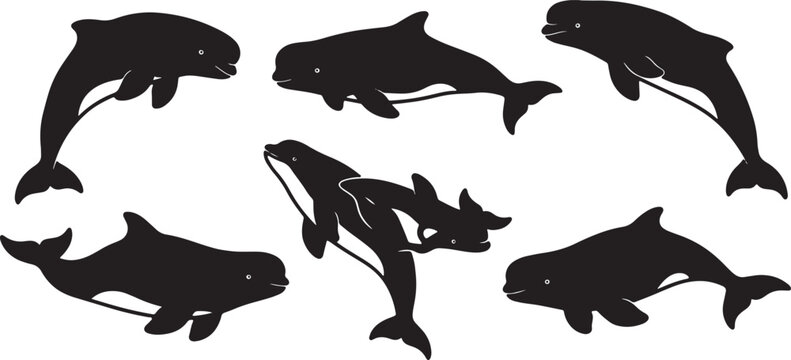 Black Solid Beluga Whale Group Silhouettes Set of Six on White Background