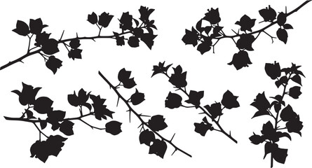Black Solid Bougainvillea Flower Branch Silhouettes Set of Six © Shakeel