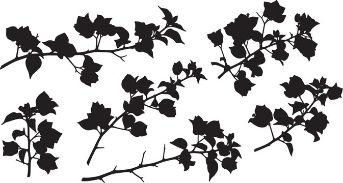 Black Solid Bougainvillea Flower Branch Silhouettes Set of Six