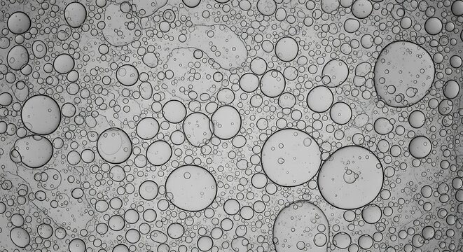 Microscopic View of Emulsion with Spherical Droplets.