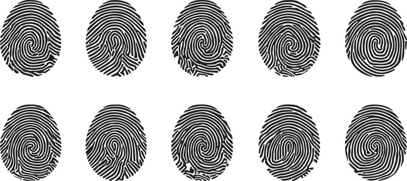 A set of ten unique black ink fingerprints arranged in two rows on a plain white background. Vector, illustration