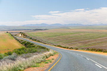 Naklejka premium Asphalt road in South Africa surrounded by fields