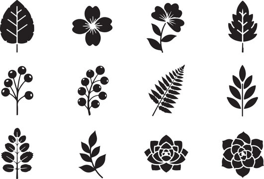 Black and white botanical silhouettes of leaves and flowers