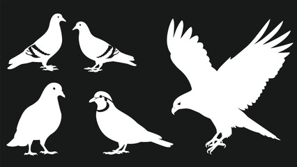 Fototapeta premium White silhouettes of various pigeons and a large hawk in flight against a solid black background showing contrasting bird species.