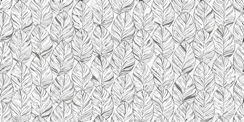 Fototapeta premium Monochrome feather pattern creating a seamless textured background design