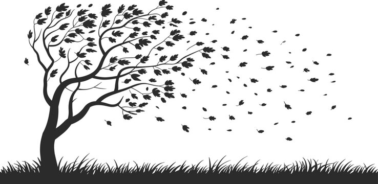Wind blowing tree silhouette, falling leaves nature scene for seasonal landscape illustration