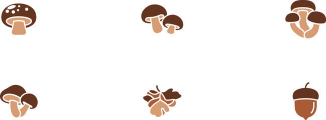 Collection of realistic mushroom and acorn illustrations on a white background © MD