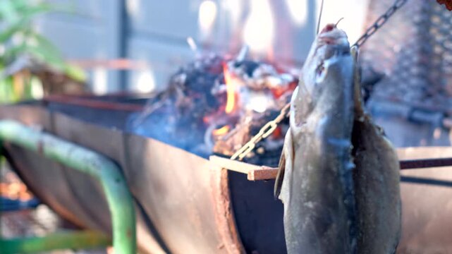 Galjoen (black bream) drip drying next to burning wood fire, telephoto