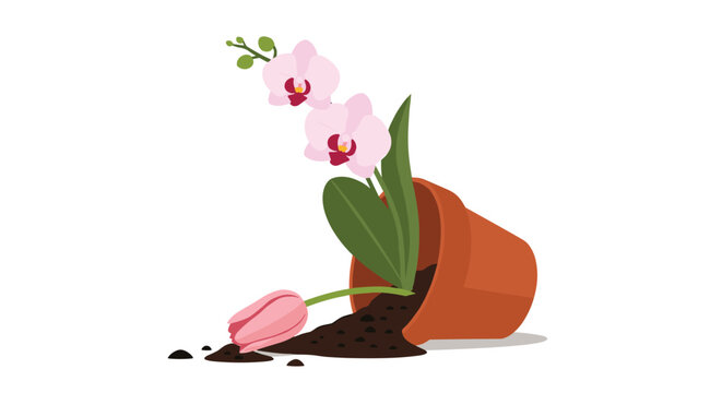 Tipped over terracotta flower pot lies on its side with spilled soil and a broken tulip while a pink orchid remains inside.