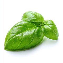 Fototapeta premium Fresh Green Basil Leaf Isolated on White Background With Subtle Sparkle