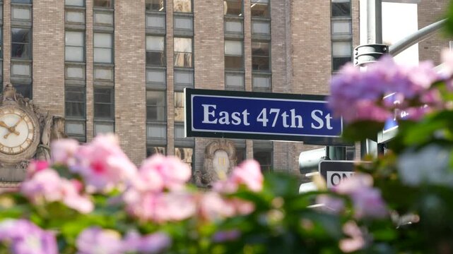 New York Park Avenue, 47 street sign, Manhattan Midtown, United States. Urban road sign in american city, traffic sign in NYC, USA. Building architecture near Grand Central. Flower blossom, flowerbed.