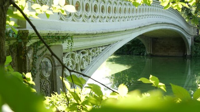 New York City Central Park nature oasis. Bow Bridge and lake in summer day, United States. Pond water and greenery in morning light. Autumn fall leaves and Manhattan architecture landmark of NYC, USA.