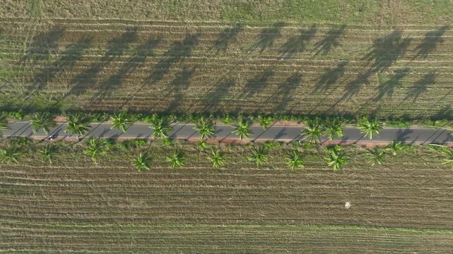 Aerial drone view of Parra Road in summer