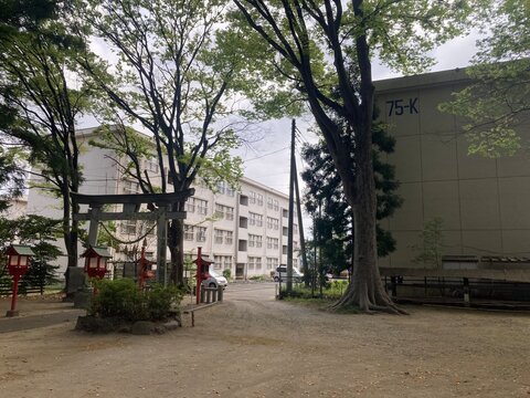 Japanese shrine with torii gate