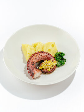 grilled octopus with side dish on a plate