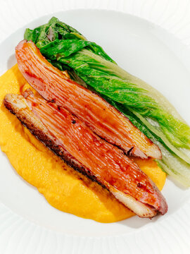 grilled duck breast with sauce and side dish