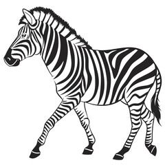Fototapeta premium Stripped african zebra walking in side profile monochromatic graphic drawing