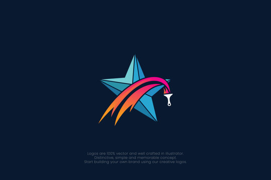 Star Painter Splash Logo