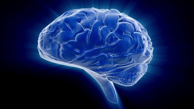 3d intellectual brain head concept awareness thinking display mind technology