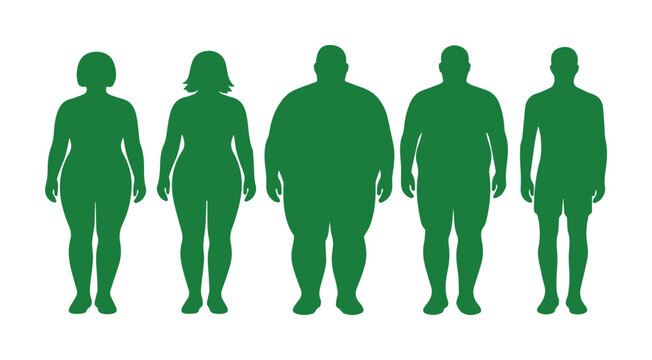 Body mass index silhouettes, green human figures showing weight stages from thin to obese, overweight and healthy body types vector set
