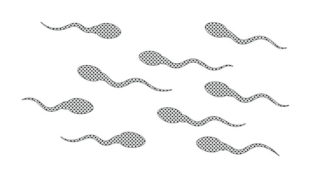 Microscopic sperm cells, human spermatozoa, male reproductive biology, fertility and conception, medical science vector illustration