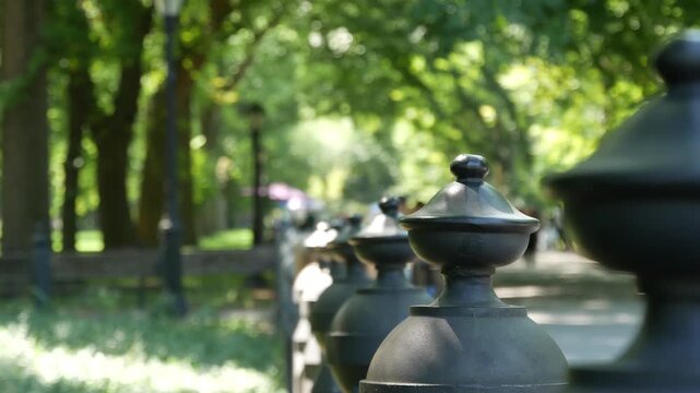 Raw of wooden benches in Central Park of New York City, United States. People on summer day in NYC, Manhattan, USA. Defocused perspective, old green trees in american park. Leaves in sunshine.