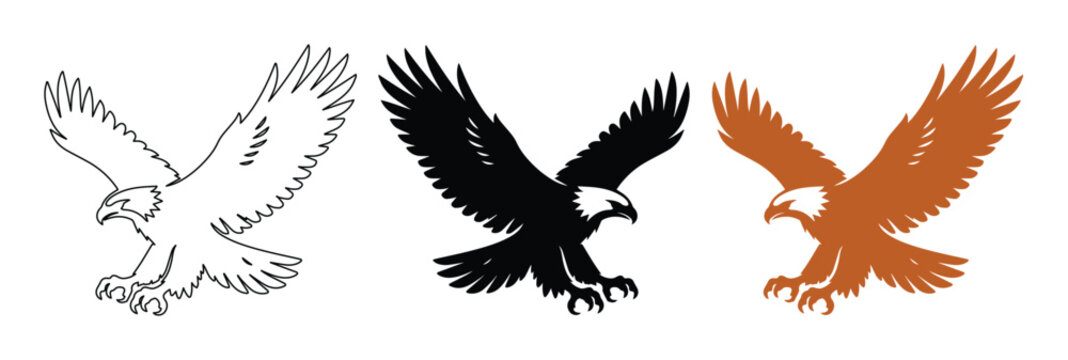 &Aacute;guila calva volando, dise&ntilde;o de &aacute;guila majestuosa, vector de ave rapaz, ilustraci&oacute;n de halc&oacute;n, emblema de libertad y fuerza