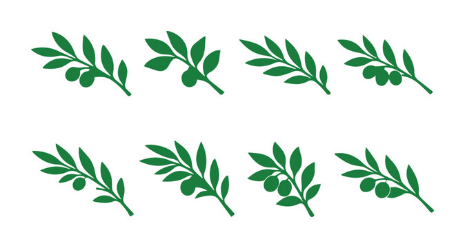 Iconos vectoriales de ramas de olivo, conjunto de ocho elementos gr&aacute;ficos de hojas verdes y aceitunas, dise&ntilde;o minimalista para productos mediterr&aacute;neos y naturales
