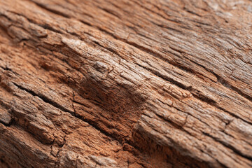 Obraz premium close up of weathered wood grain texture