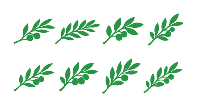Conjunto de ocho ramas de olivo verdes, iconos vectoriales de hojas de olivo, elementos gr&aacute;ficos bot&aacute;nicos para dise&ntilde;o de alimentos y cosm&eacute;ticos