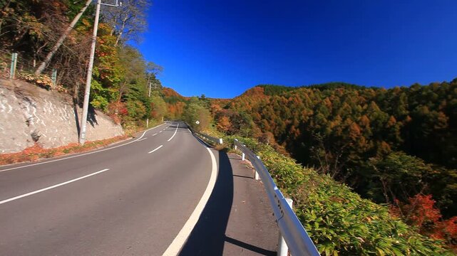 鳥居峠付近の国道144号と太陽の光芒と樹林