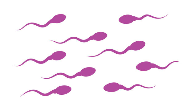 Purple sperm cells, microscopic human spermatozoa, reproductive biology and fertility concept, abstract medical illustration, scientific research vector.