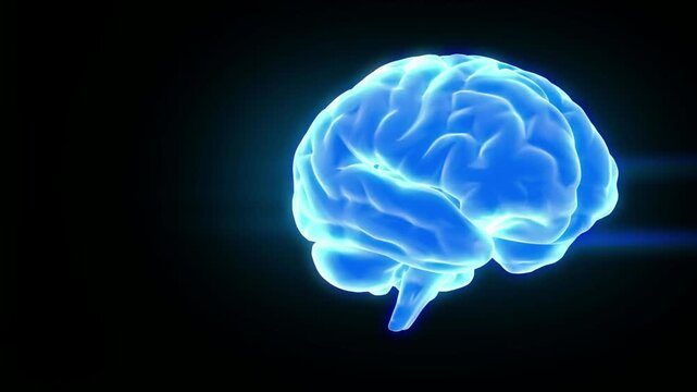 3d intellectual brain head concept awareness thinking display mind technology