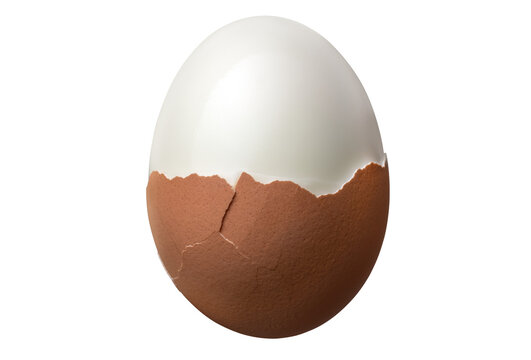 茹で卵 / Boiled egg